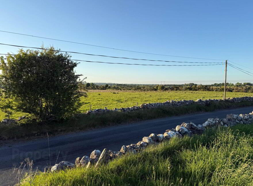 Ballyhankeen, Hollymount, Mayo photo
