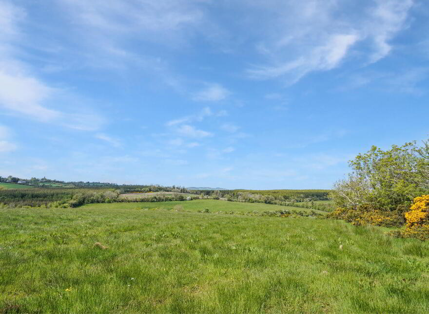 Losset, Moynalty