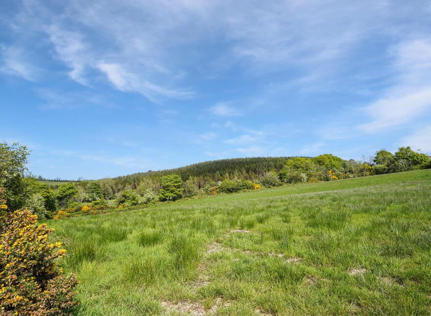 Losset, Moynalty