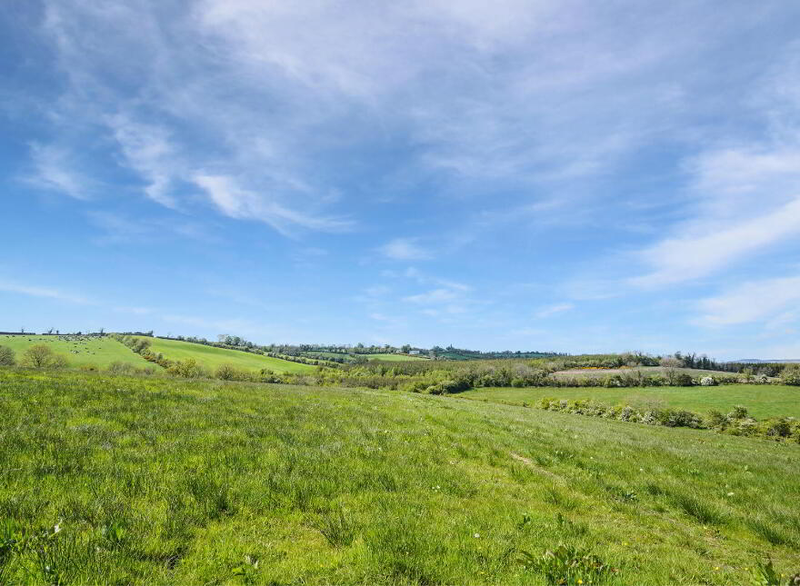 Losset, Moynalty