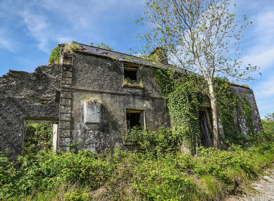 Losset, Moynalty