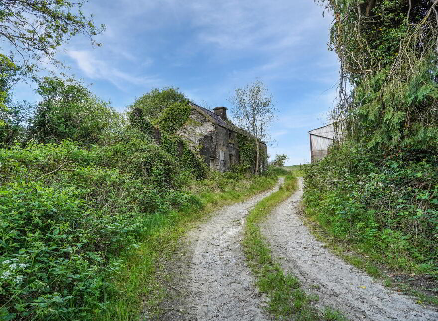 Losset, Moynalty