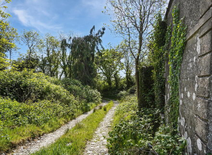 Losset, Moynalty