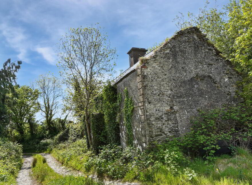 Losset, Moynalty