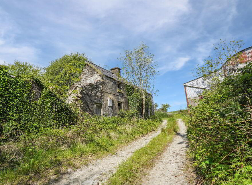 Losset, Moynalty