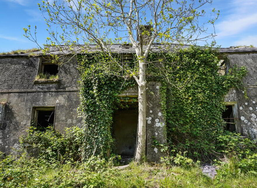Losset, Moynalty