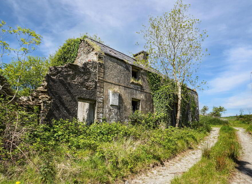 Losset, Moynalty