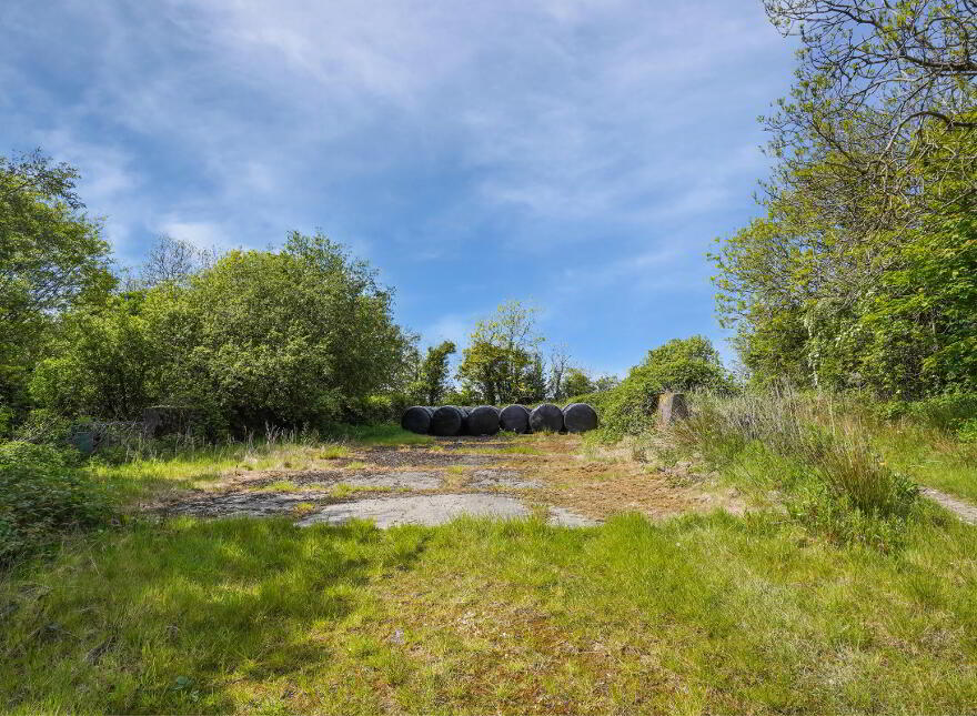 Losset, Moynalty