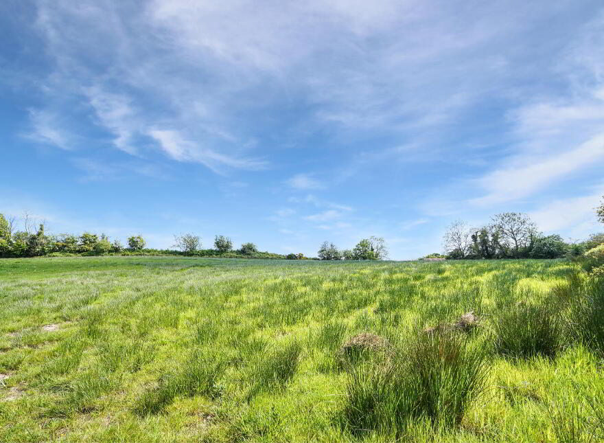 Losset, Moynalty