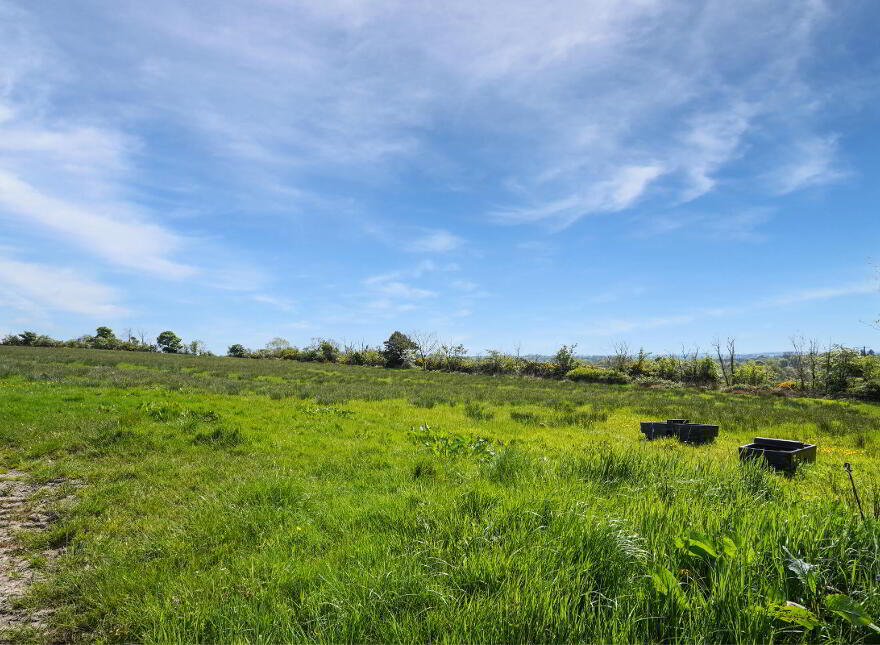 Losset, Moynalty