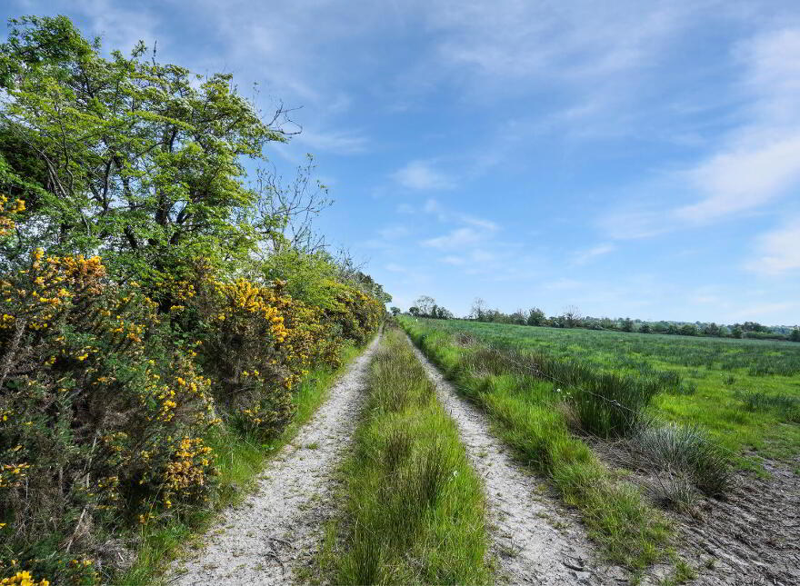 Losset, Moynalty