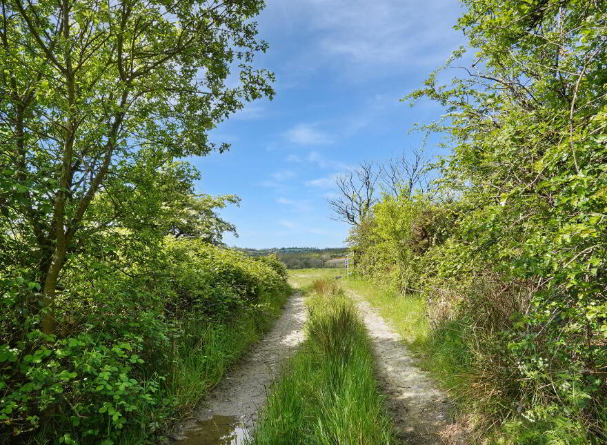 Losset, Moynalty