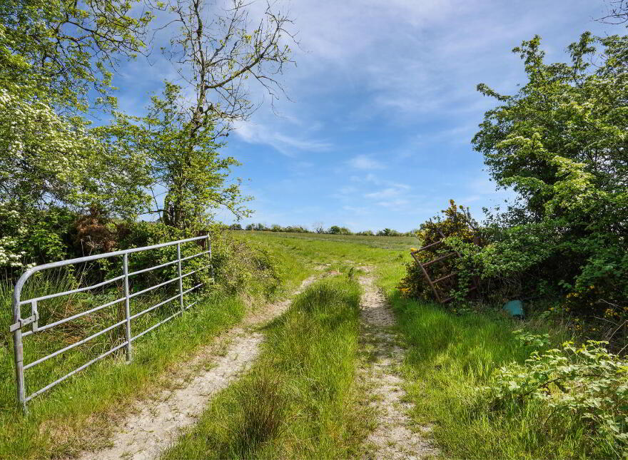 Losset, Moynalty