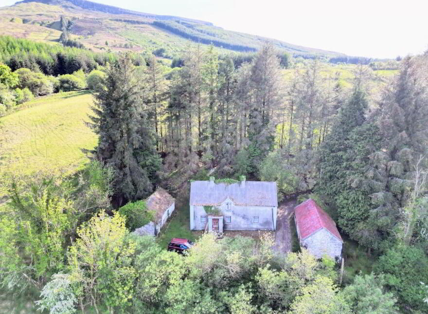 Coppanaghbane, Glangevlin, N41Y003 photo