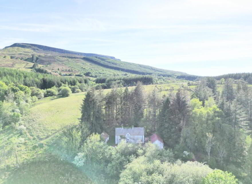Coppanaghbane, Glangevlin, N41Y003