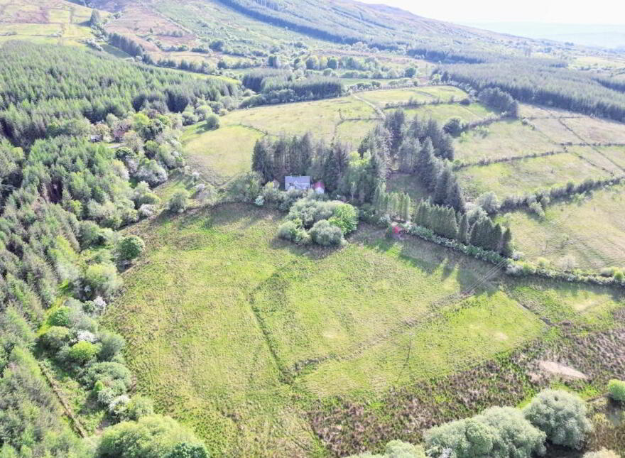 Coppanaghbane, Glangevlin, N41Y003