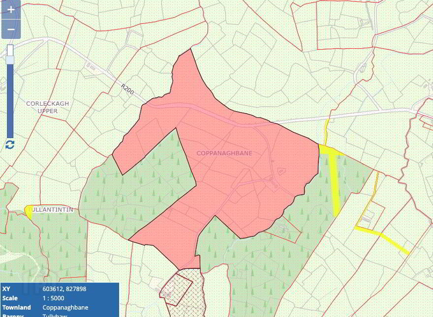 Coppanaghbane, Glangevlin, N41Y003