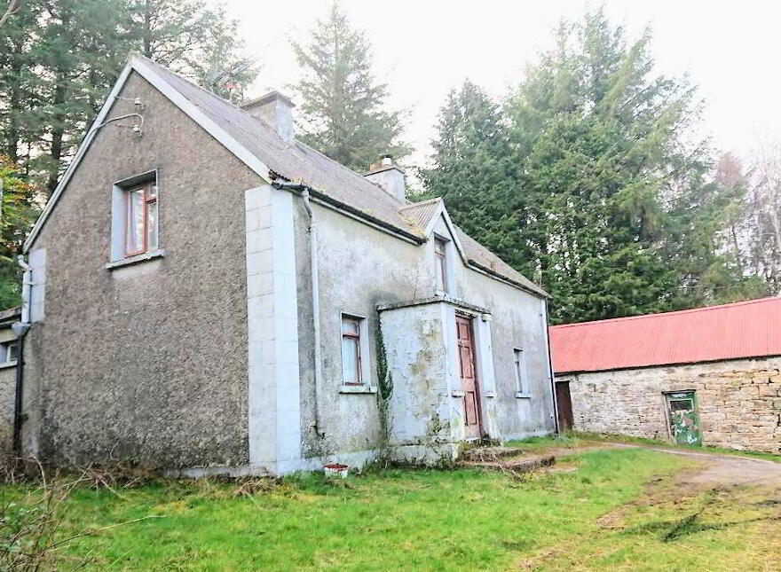 Coppanaghbane, Glangevlin, N41Y003