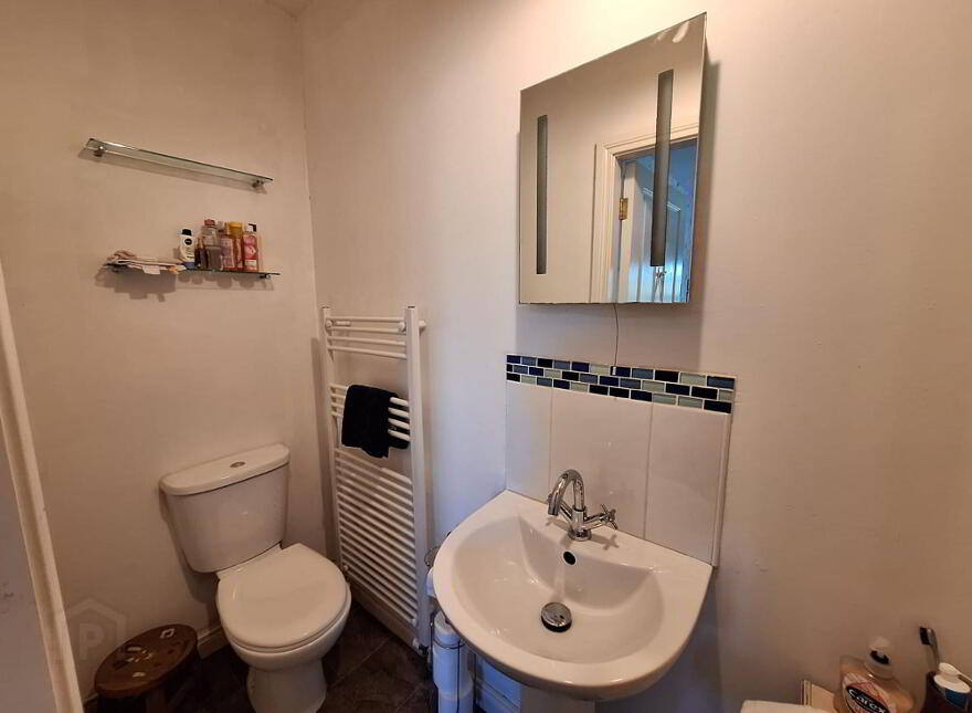 16 Knowehead Hill, Broughshane, Ballymena, BT43 7PD