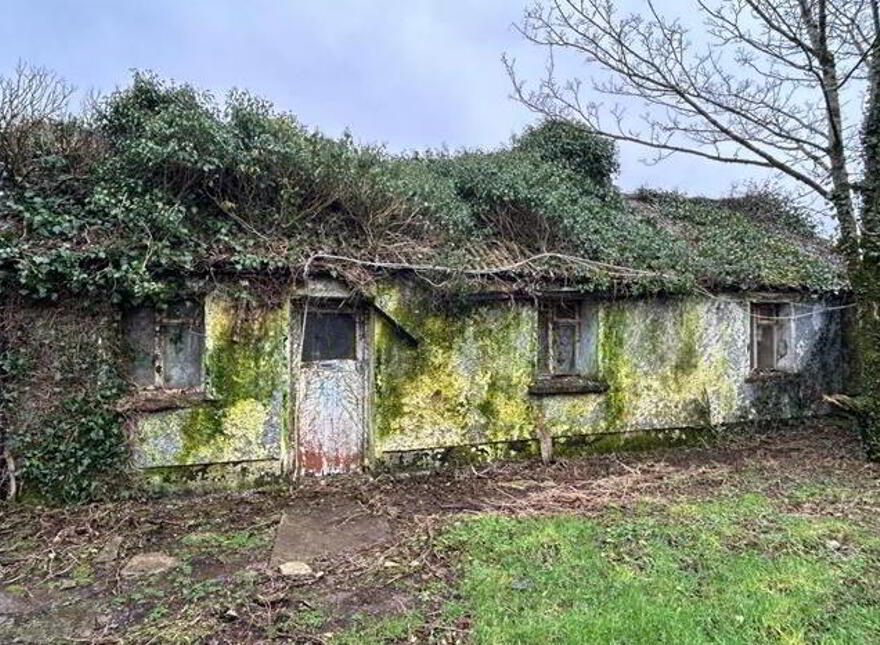 Skeheen, Kilmovee, Mayo