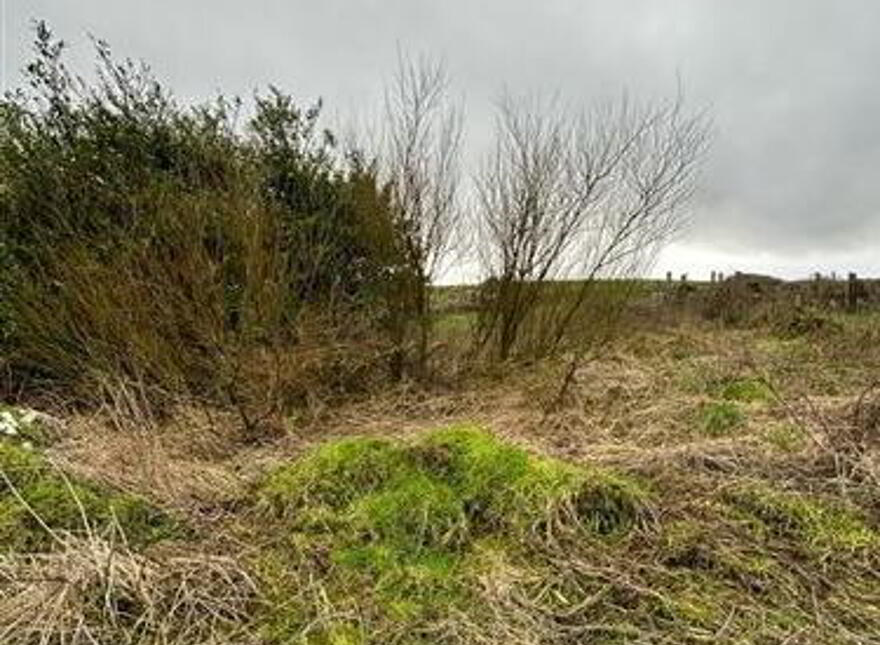 Skeheen, Kilmovee, Mayo