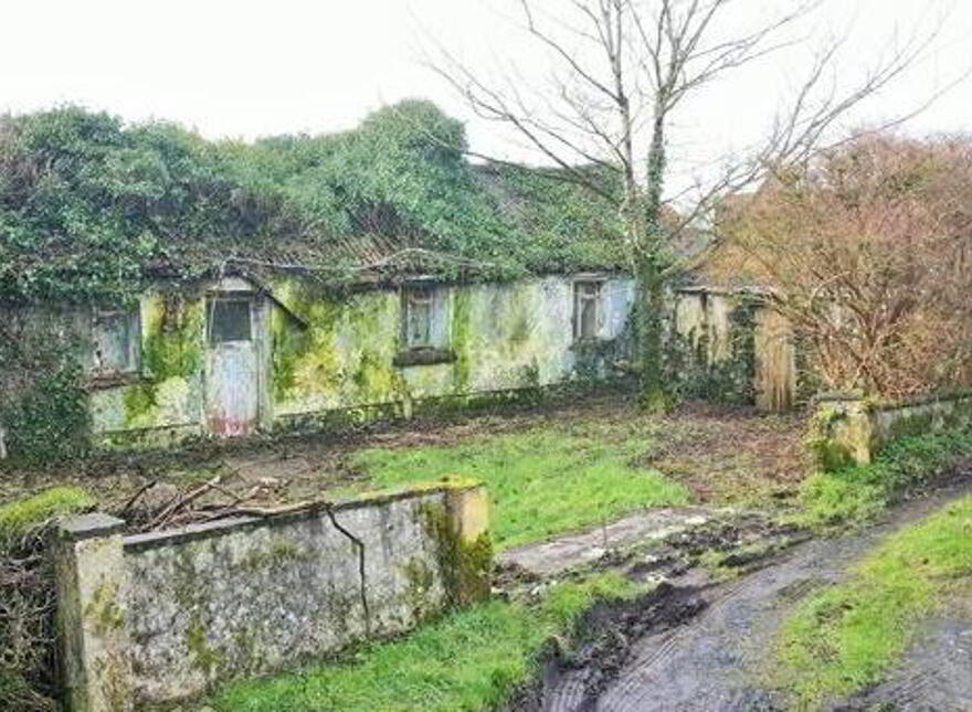 Skeheen, Kilmovee, Mayo