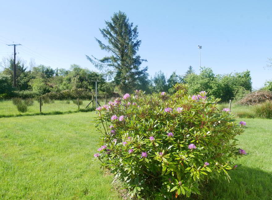 122 Letterboy Road, Kesh, BT93 1SZ
