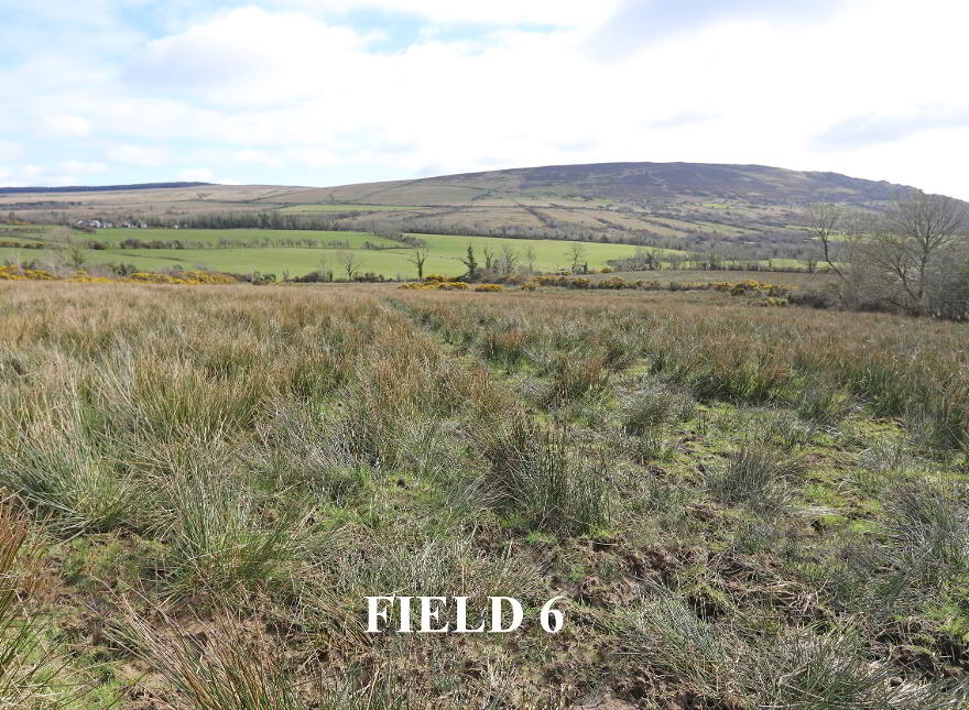 100 Bolea Road, Limavady, BT49 0QU