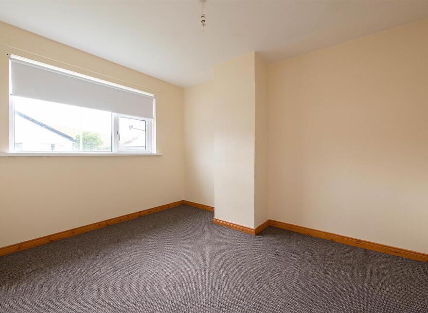 19 Craigs Road, Ballynahinch, BT24 8PQ