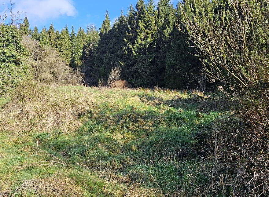 Kitty's Cottage, 00 Crappagh, Newbliss, H18D825