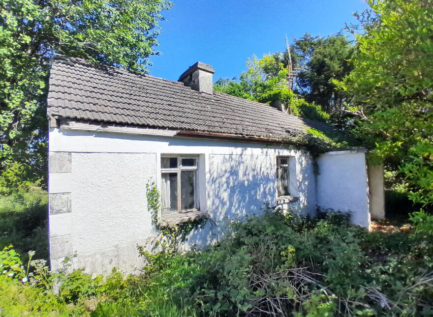 Ballydrum, Swinford,Mayo photo