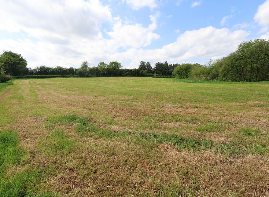 Lower Grange Road, Cookstown