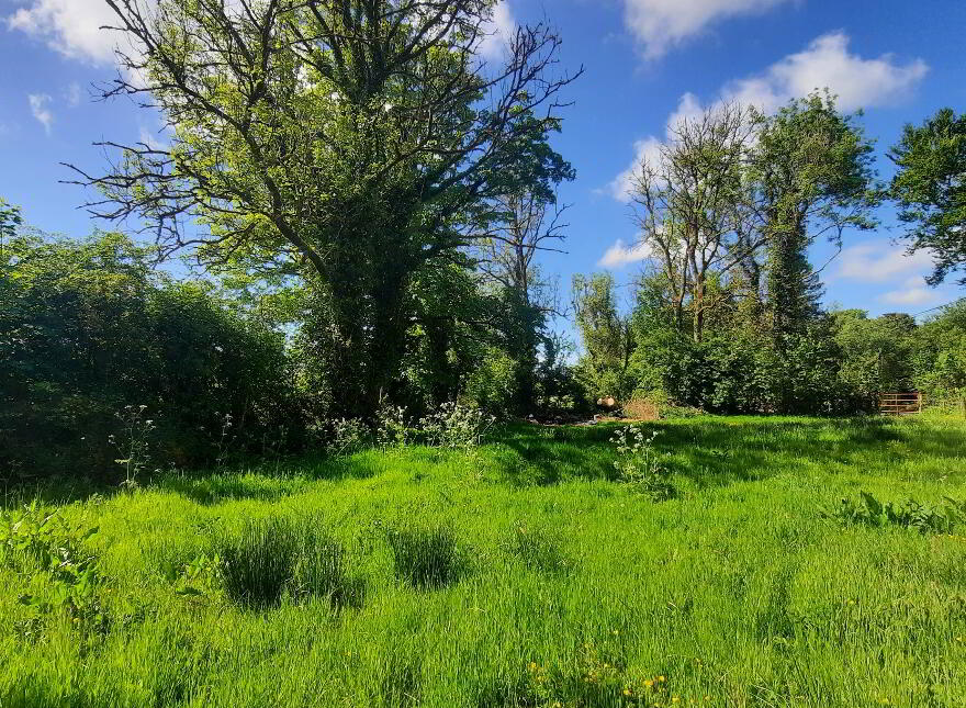 Quarryfield, Bunnanaddan, F56WN23