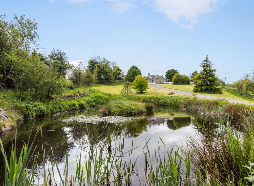 17 Burnpipe Lane, Ballynahinch, BT24 8HY