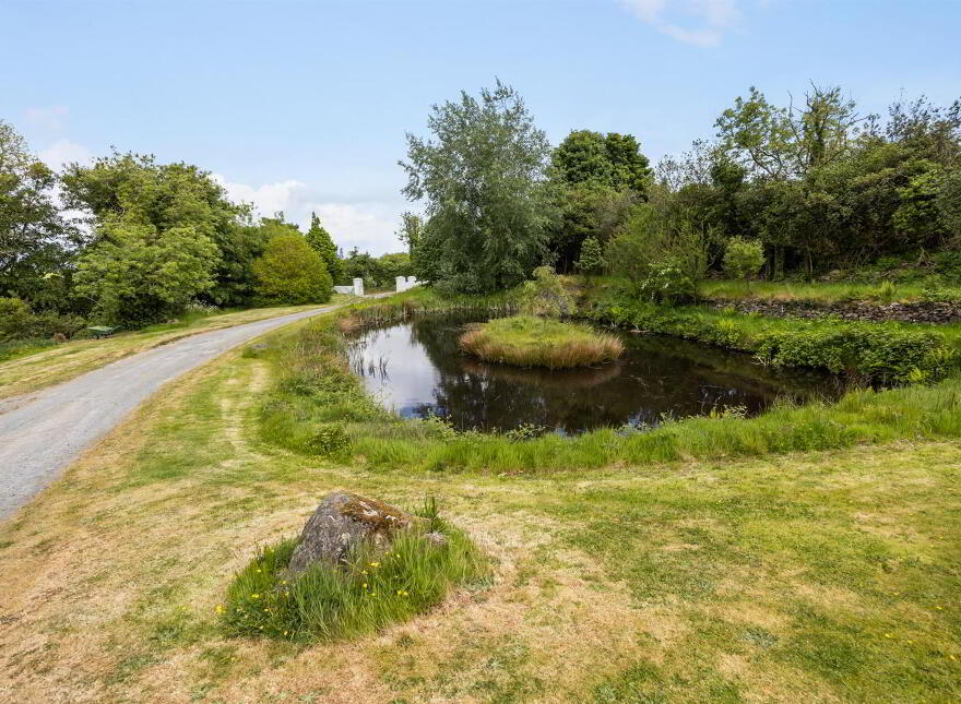 17 Burnpipe Lane, Ballynahinch, BT24 8HY