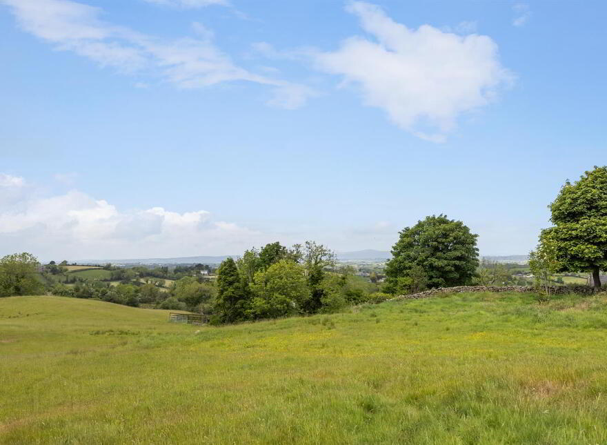 17 Burnpipe Lane, Ballynahinch, BT24 8HY
