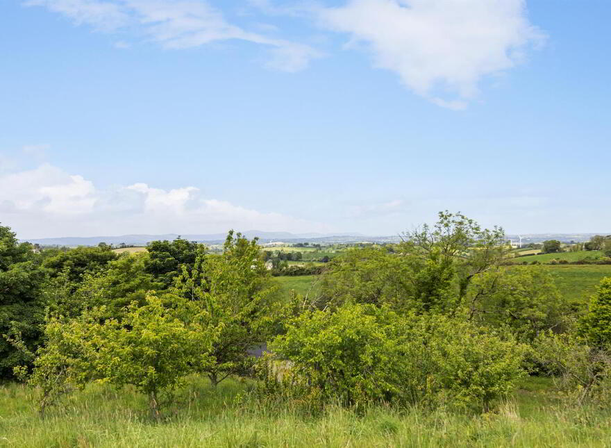 17 Burnpipe Lane, Ballynahinch, BT24 8HY