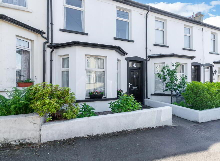 43 Springfield Road, Bangor, BT20 5BZ photo