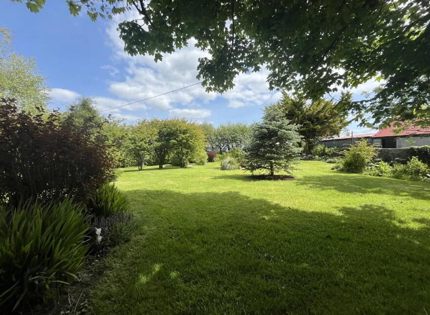 Woodville, Crossmolina, F26Y430
