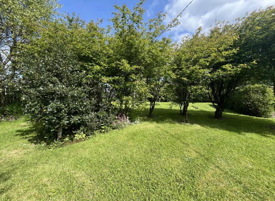 Woodville, Crossmolina, F26Y430