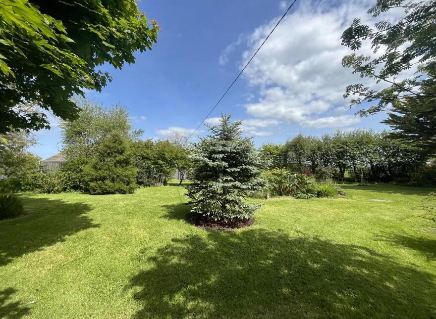 Woodville, Crossmolina, F26Y430