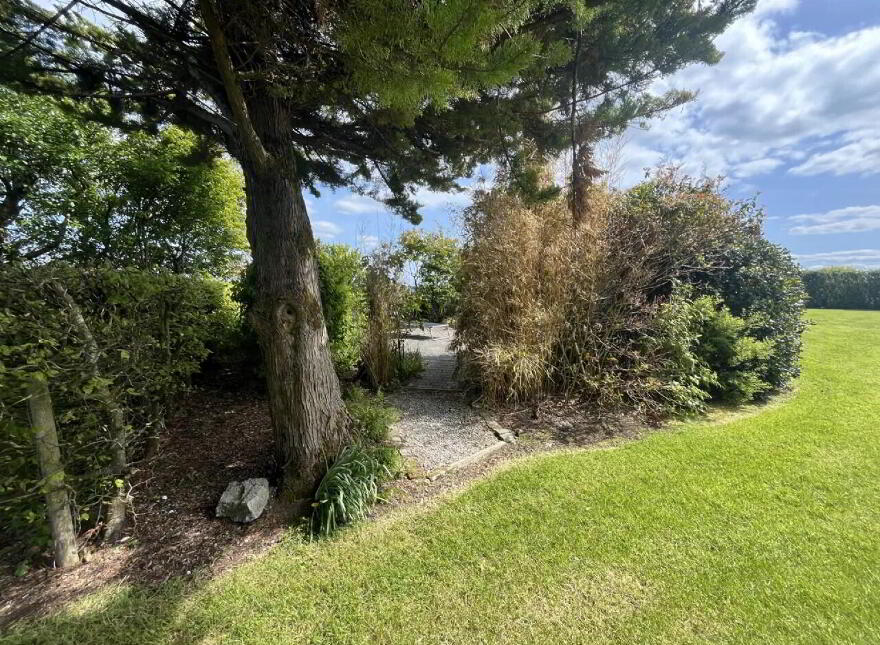 Woodville, Crossmolina, F26Y430