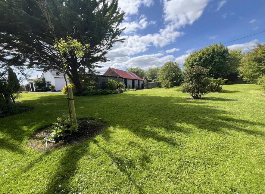 Woodville, Crossmolina, F26Y430