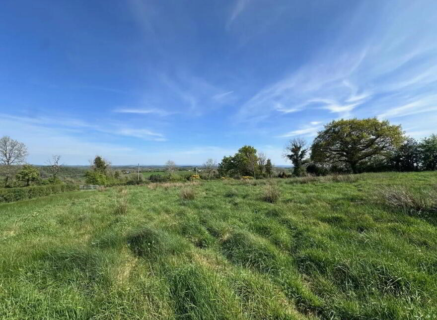 Agricultural Lands, Dernalosset, Emyvale photo