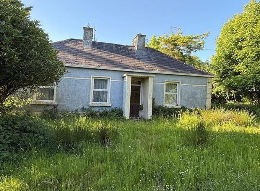 Castlemore, Ballaghaderreen, F45C892