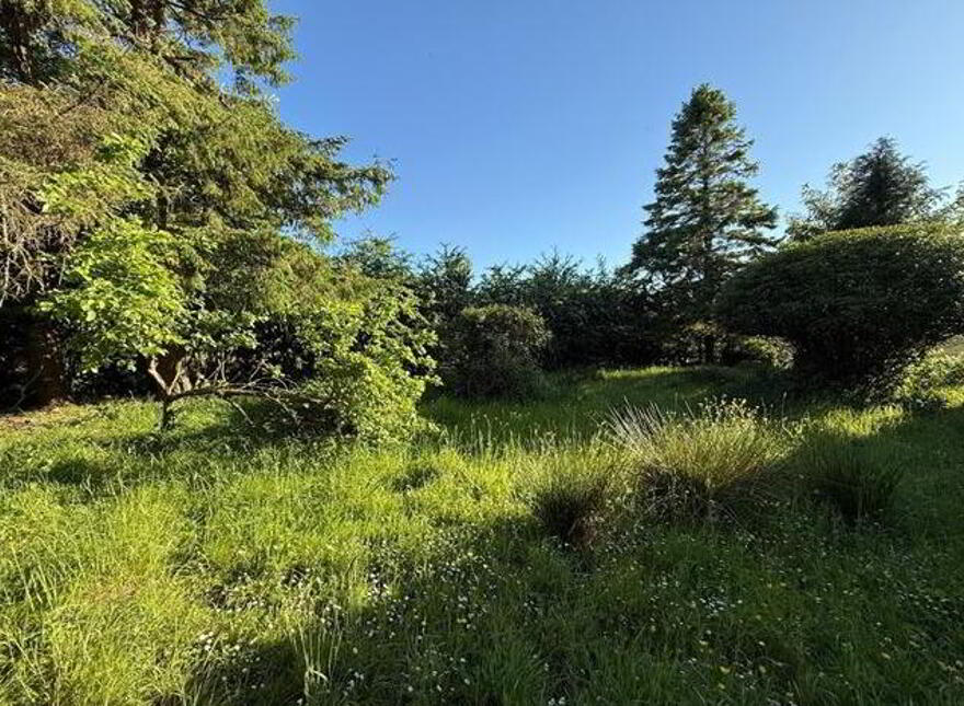 Castlemore, Ballaghaderreen, F45C892