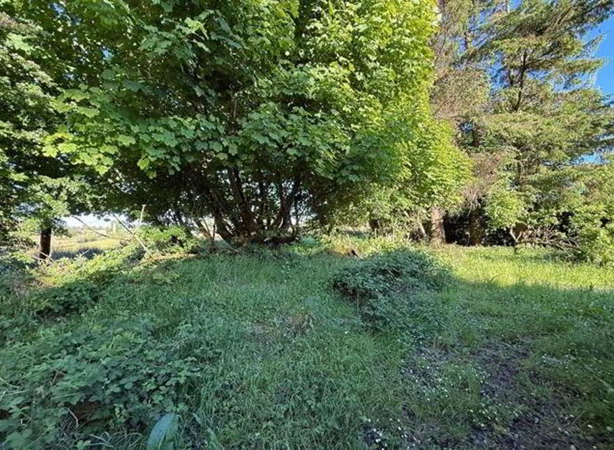 Castlemore, Ballaghaderreen, F45C892