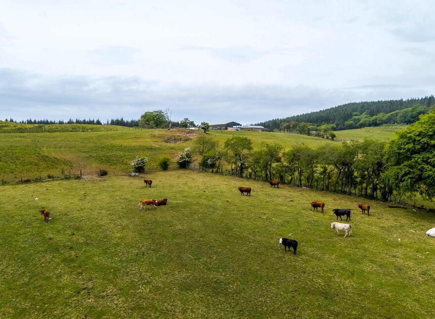 Land, Yard & Outbuildings At, Carnearney Road, Antrim, BT41 2RW