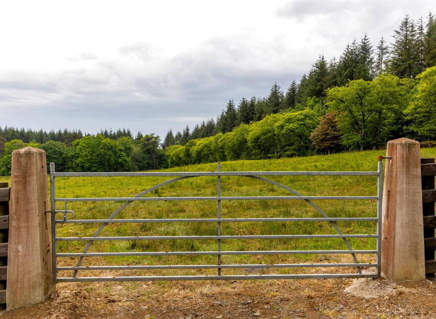 Land, Yard & Outbuildings At, Carnearney Road, Antrim, BT41 2RW