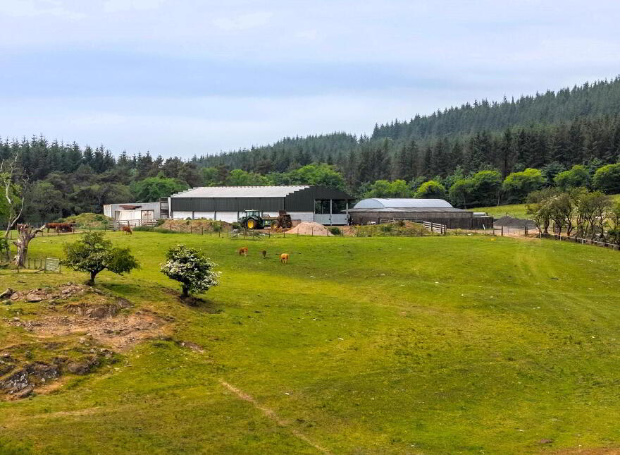 Land, Yard & Outbuildings At, Carnearney Road, Antrim, BT41 2RW